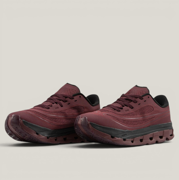 Кросівки ON Cloudflow 5 AD Fig Mulberry (3MF30704894)